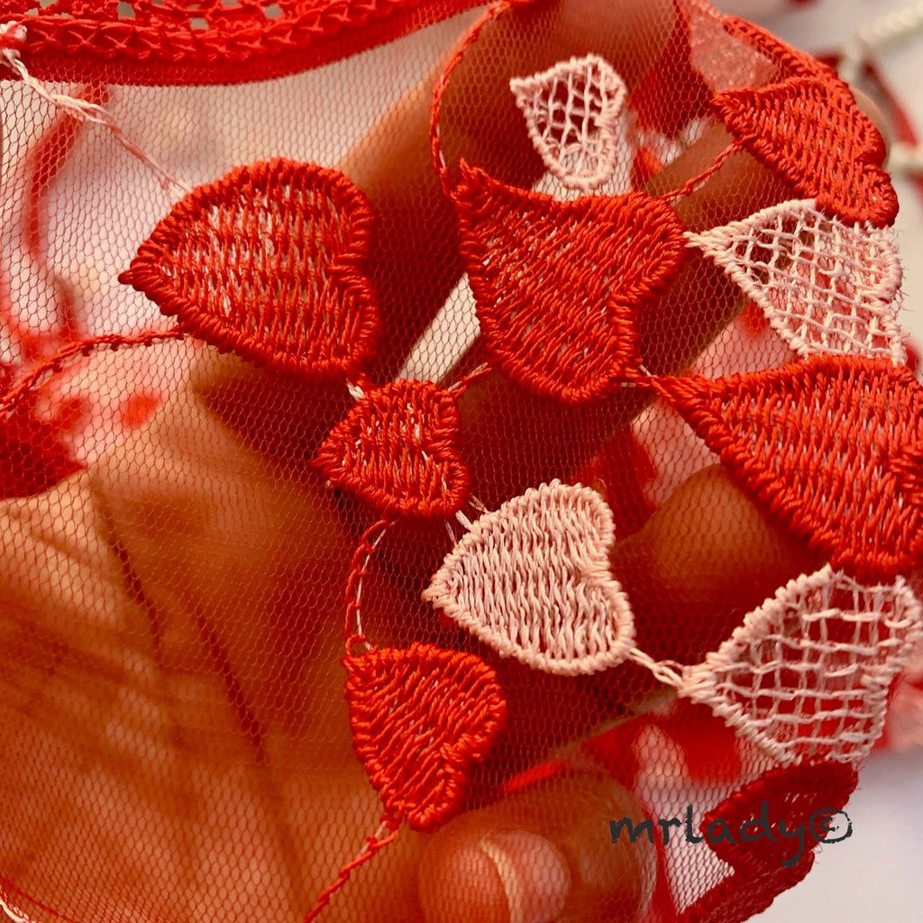 TURKISH LOVE SOFT NET BRA SET