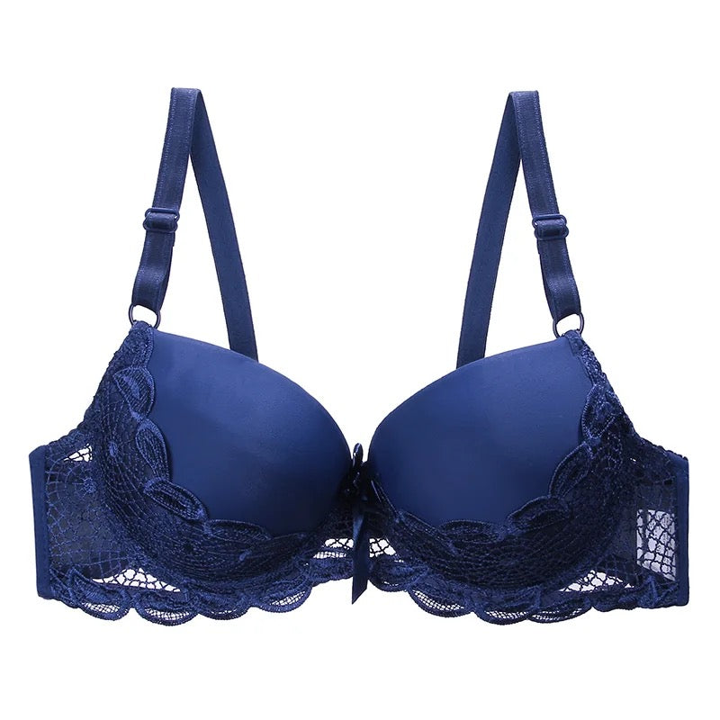 Basic Lace Wired Pushup Bra